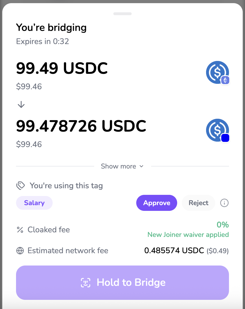 Bridge review showing the Salary tag used for the transaction